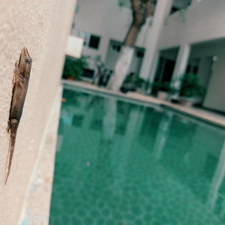 Cozy Studios Zazil-Ha Playa del Carmen Exterior foto